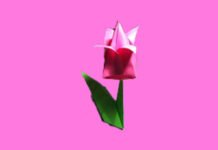 origami tulipa