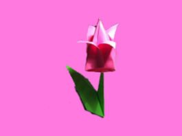 origami tulipa