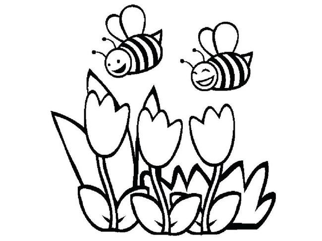 desenhos de abelha