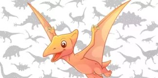 Desenhos de Pterodáctilo para Colorir e Imprimir Pterodactilo para colorir