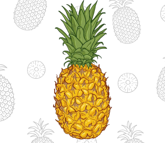 abacaxi para colorir