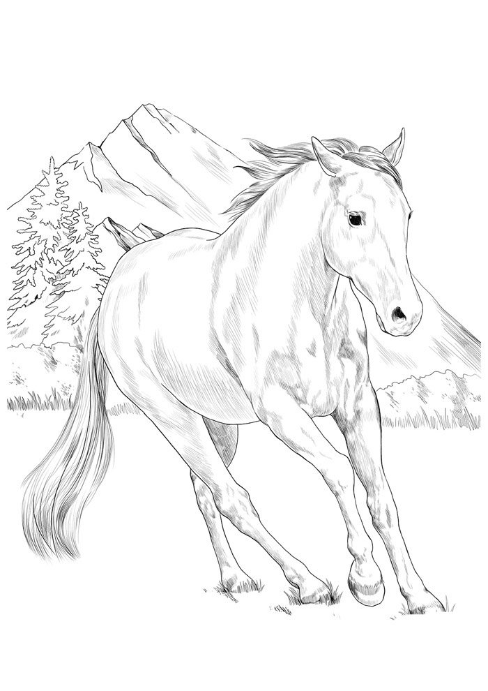 cavalo para colorir 134