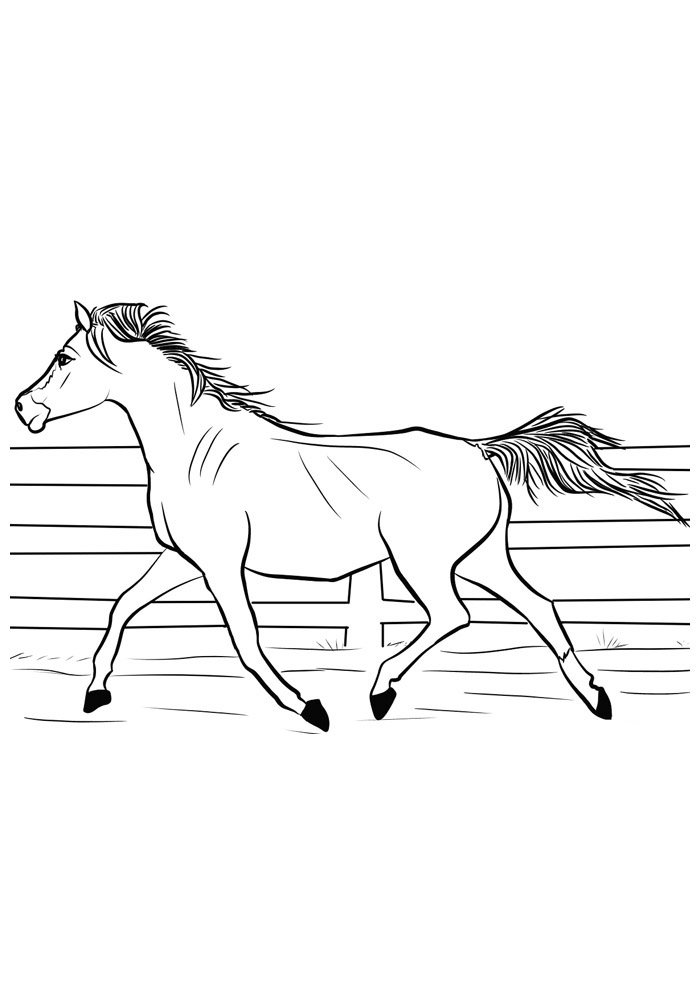 cavalo para colorir 136