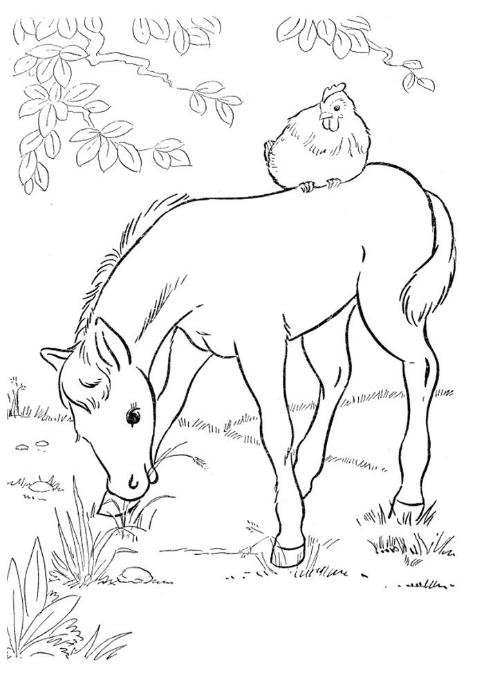 cavalo para colorir 41