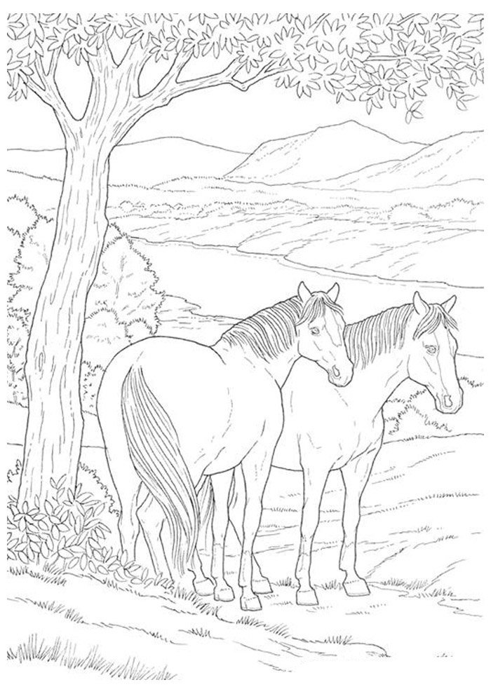 cavalo para colorir 42