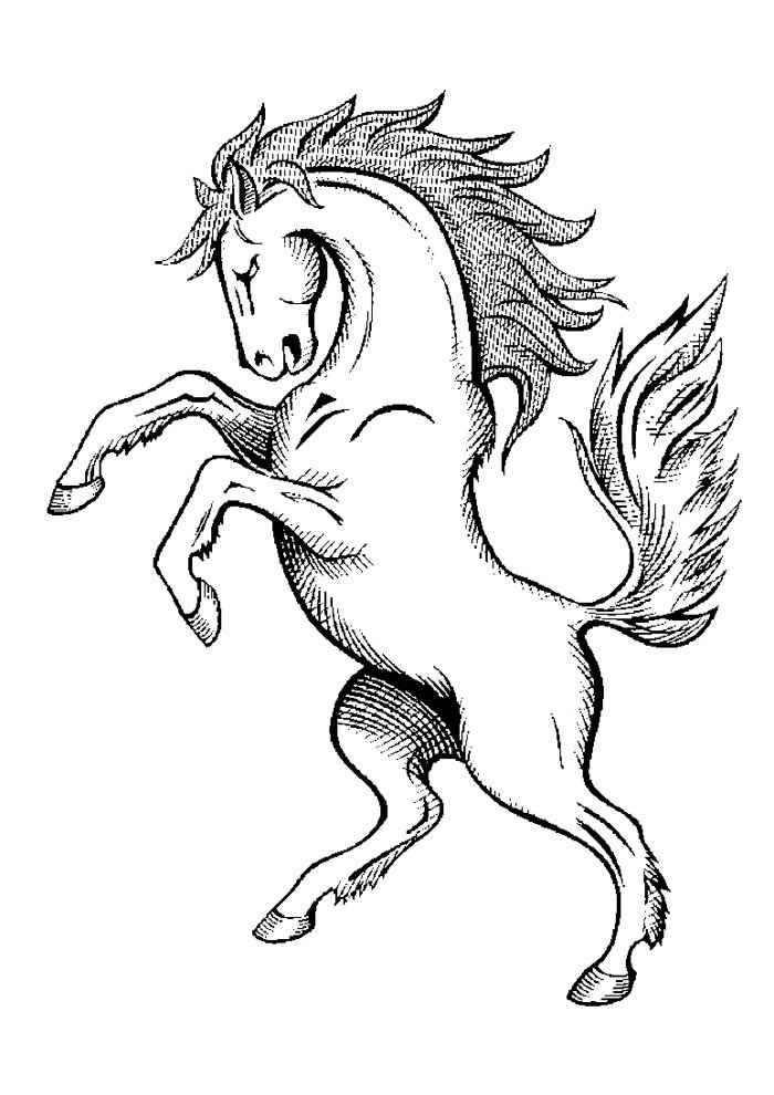 cavalo para colorir 43