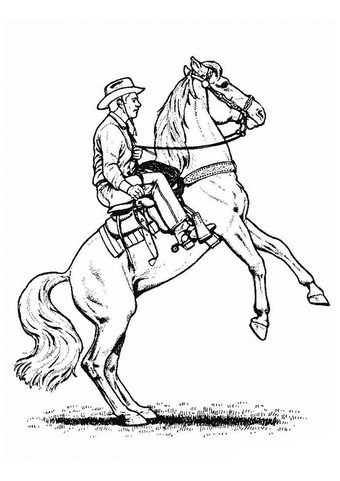 cavalo para colorir 47