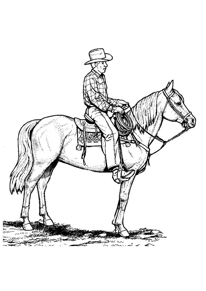 cavalo para colorir 48