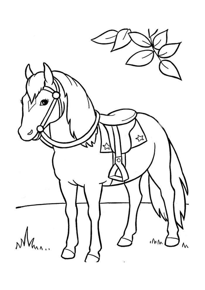 cavalo para colorir 49