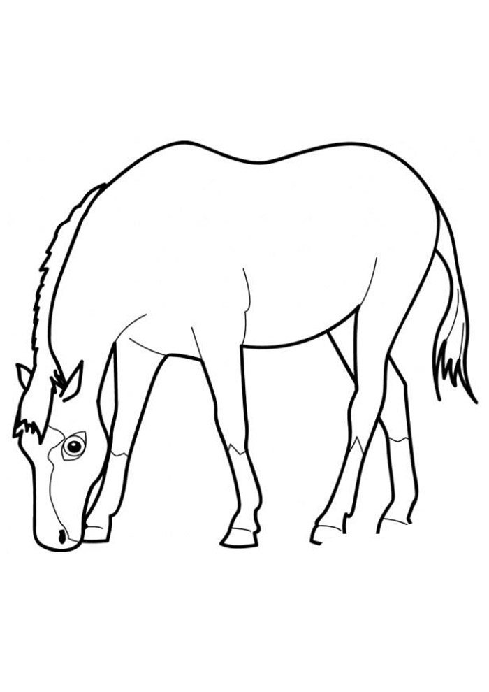 cavalo para colorir 62