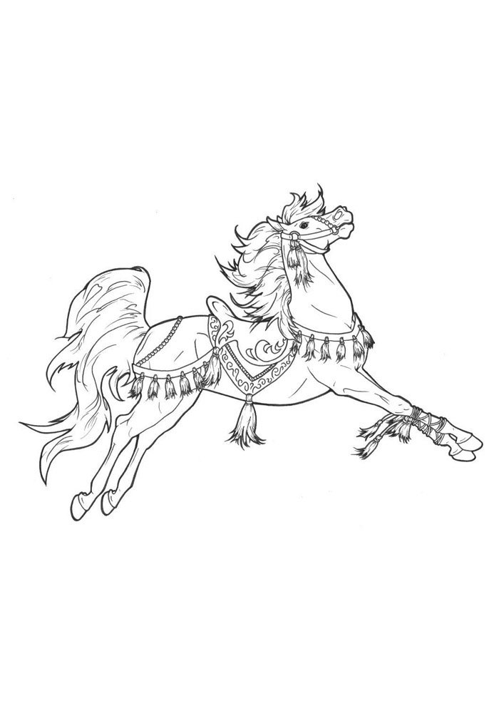 cavalo para colorir 66