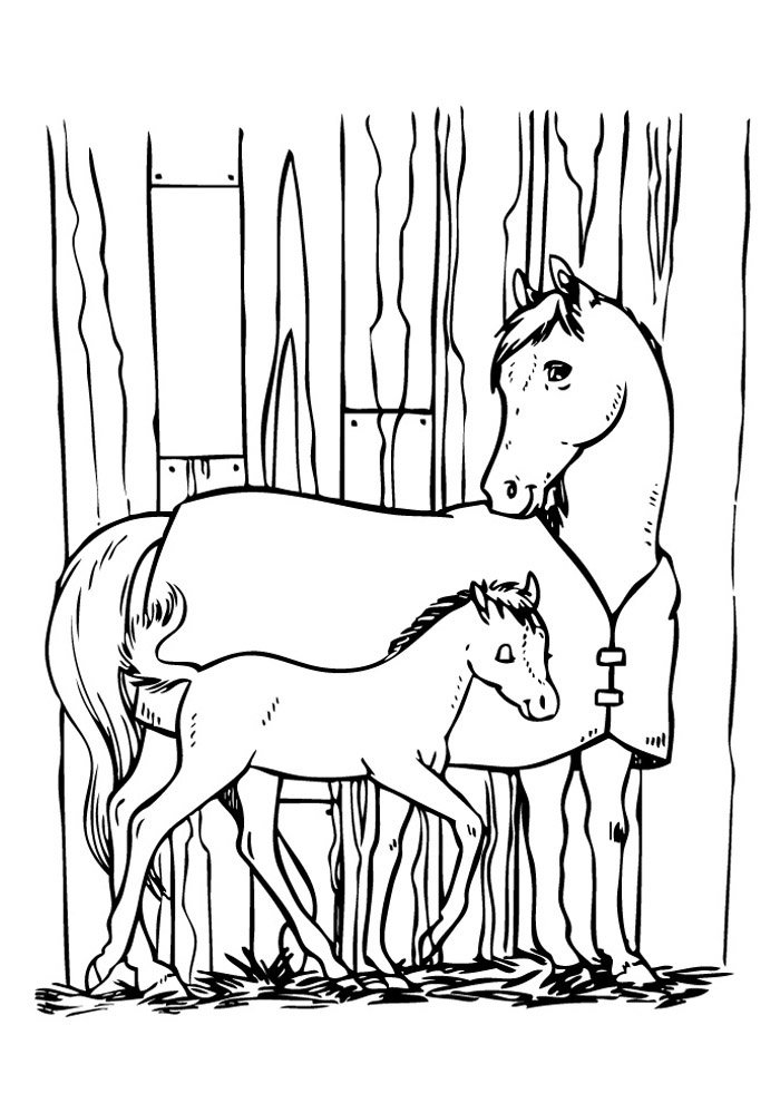 cavalo para colorir 73