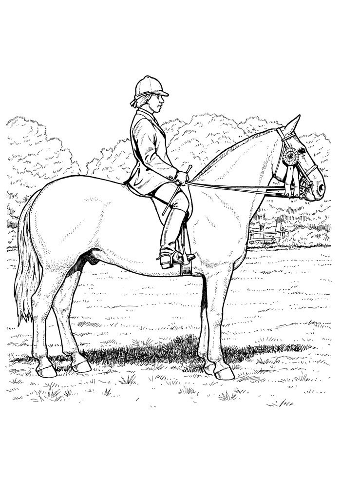 cavalo para colorir 77