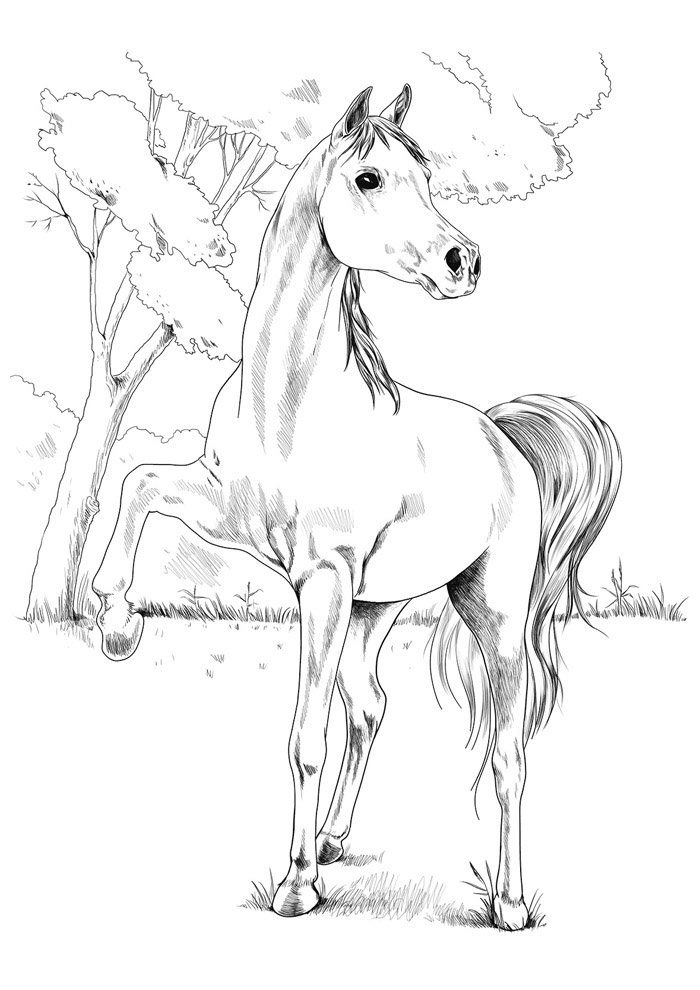 cavalo para colorir 82