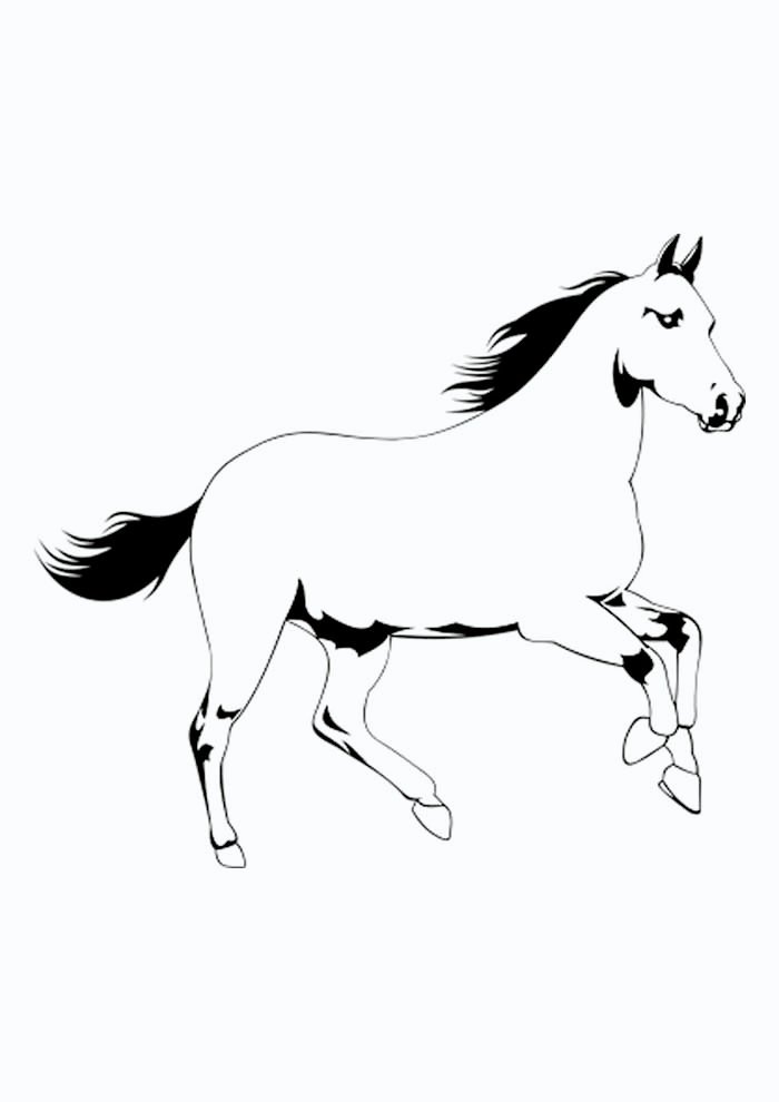 cavalo para colorir e imprimir 1