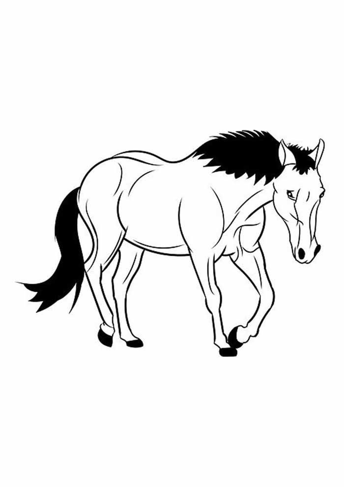 cavalo para colorir elegante