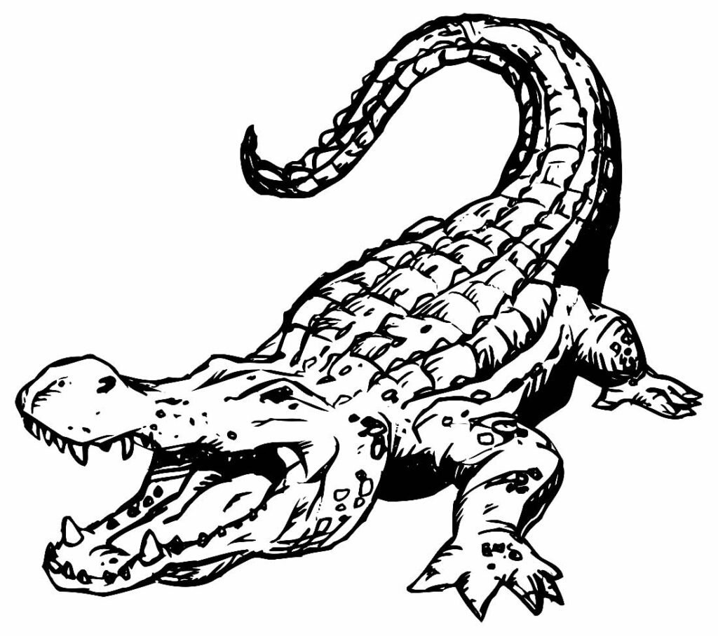 desenho de jacare 19