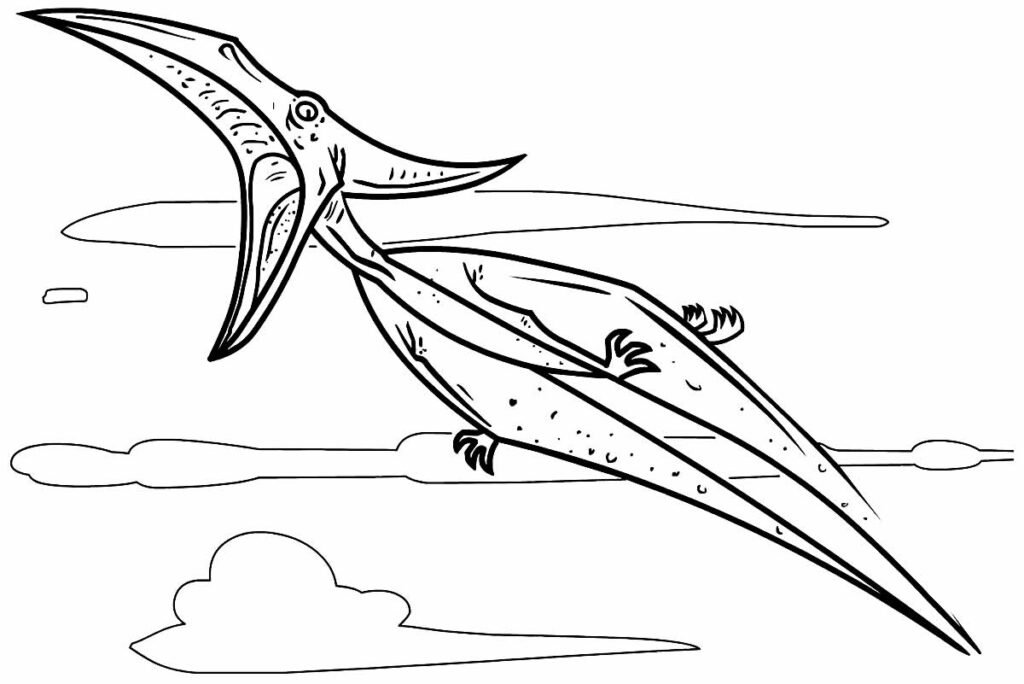 desenho de pterodactilo para colorir 7