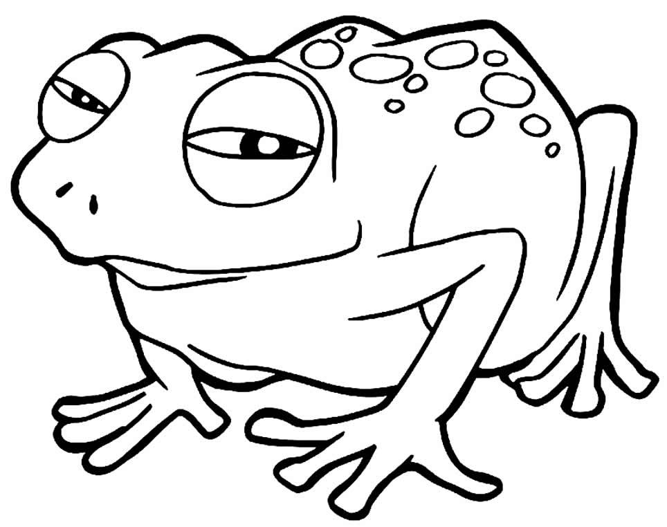 desenho de sapinho 15