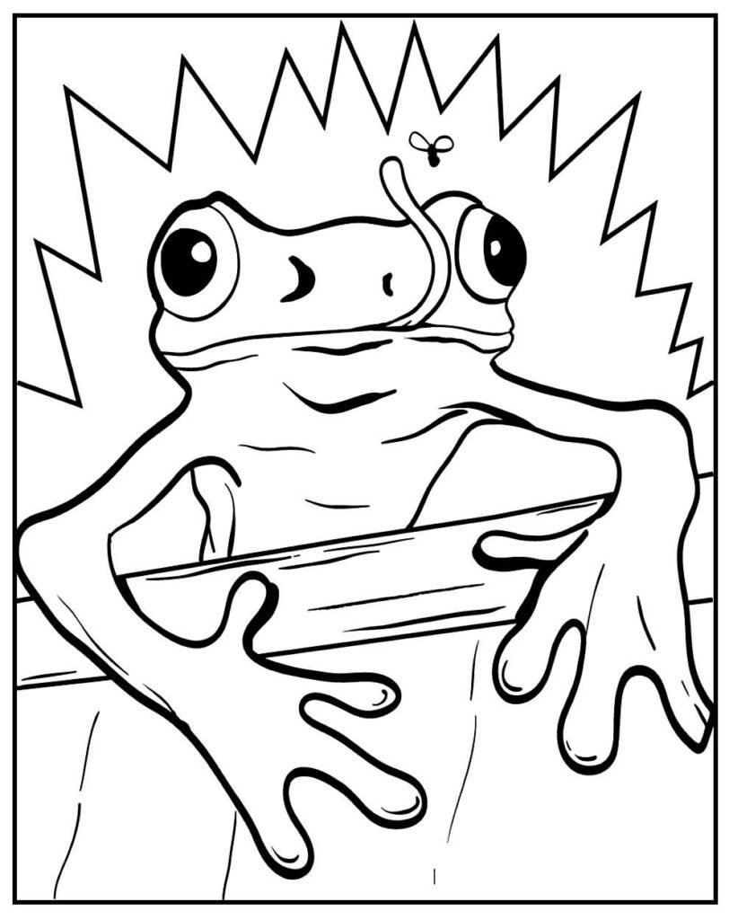 desenho de sapinho 2