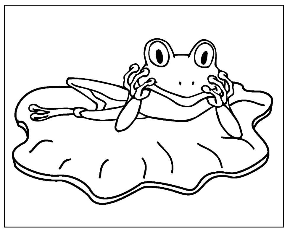 desenho de sapinho 4