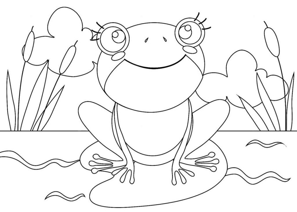 desenho de sapinho 6