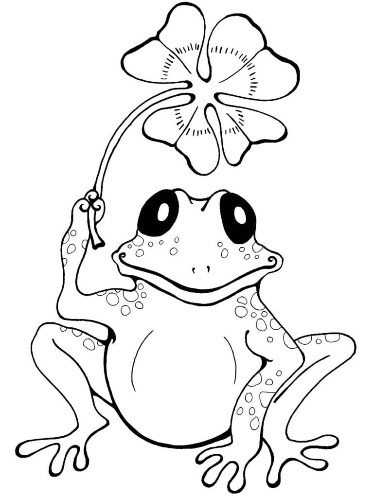 desenho de sapo para colorir 1