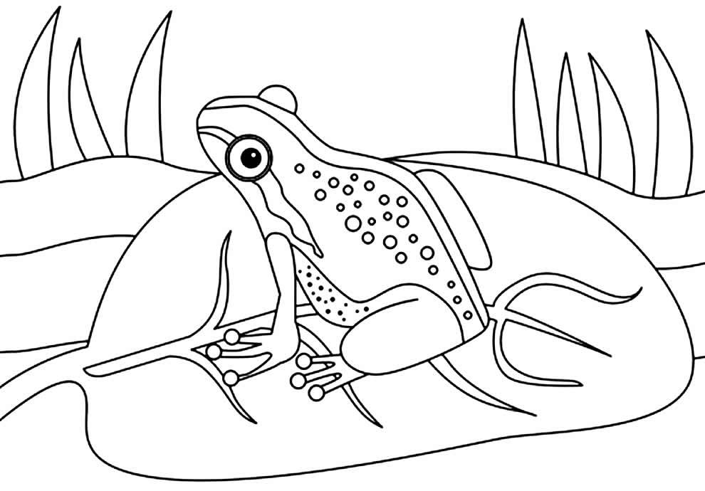 desenho de sapo para colorir 2