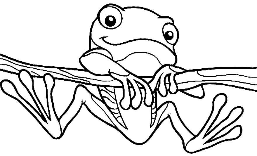 desenho de sapo para colorir 5