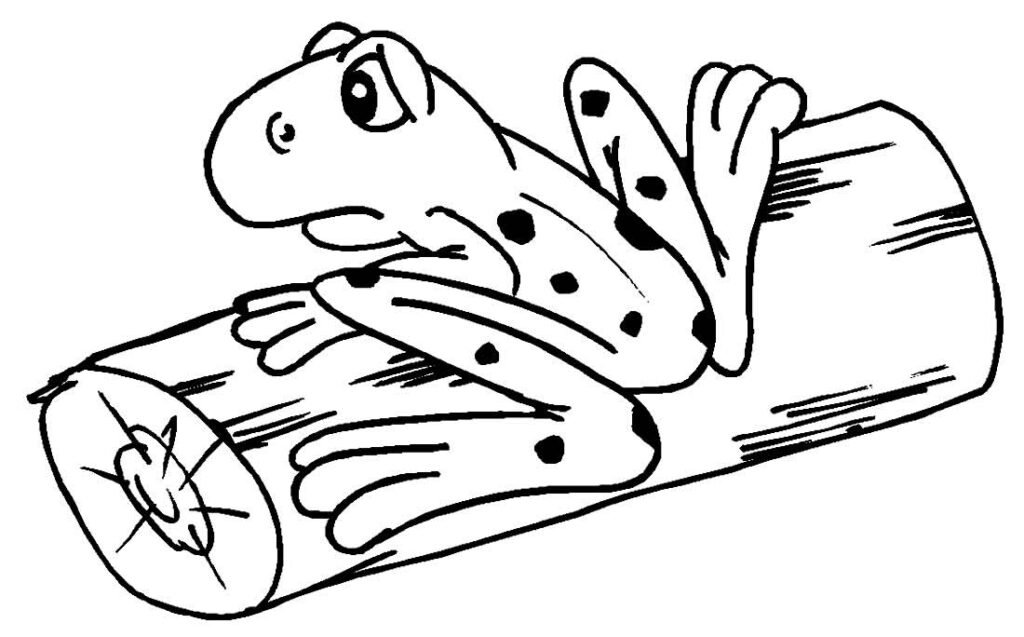 desenho de sapo para colorir 8