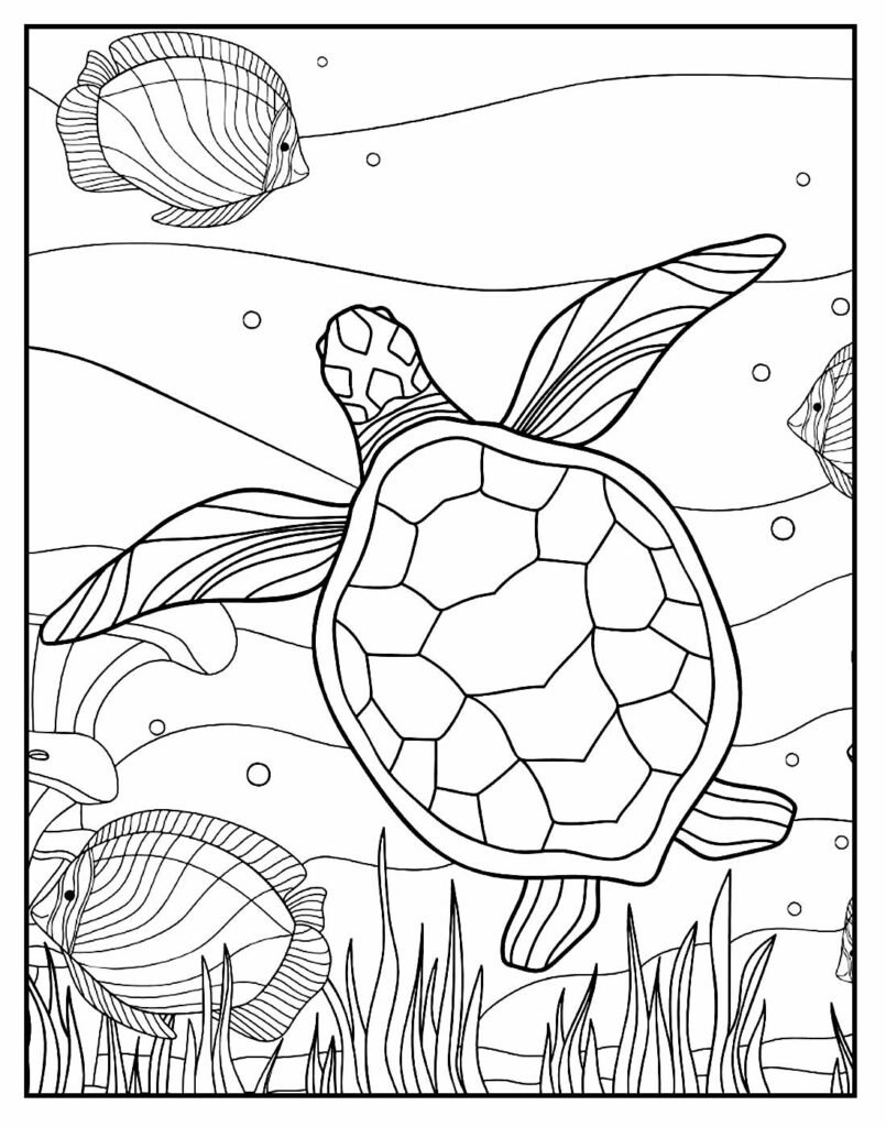 desenho de tartaruga para pintar e colorir em casa 6