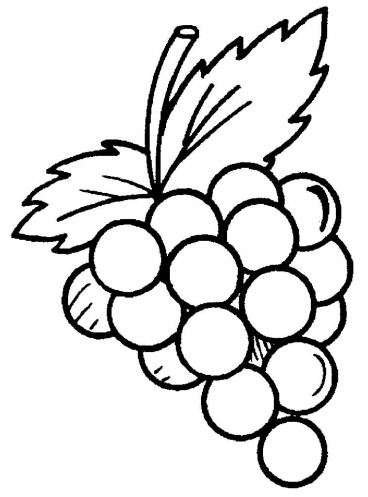 desenho de uva para colorir 12