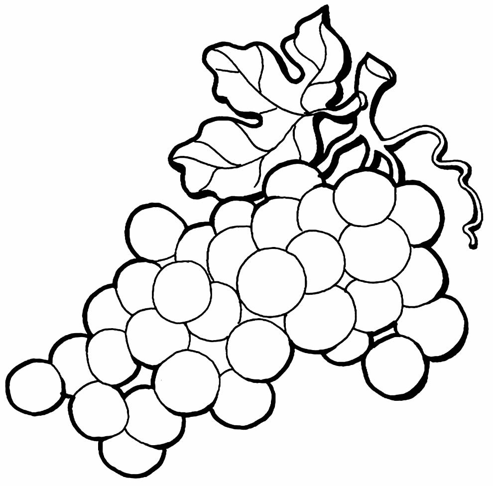 desenho de uva para colorir 5