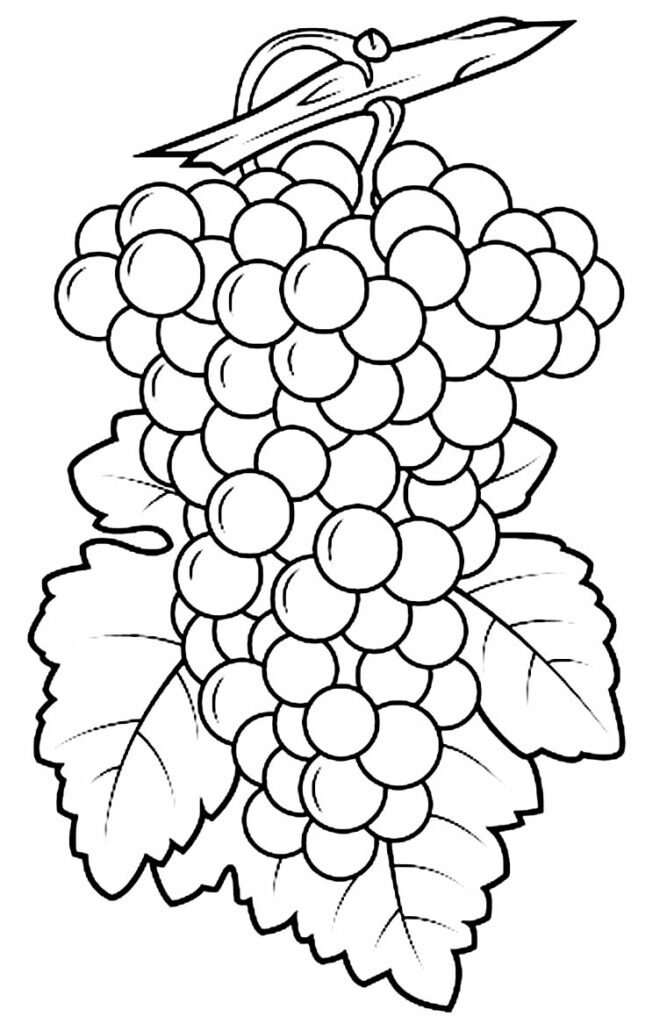 desenho de uva para colorir 7