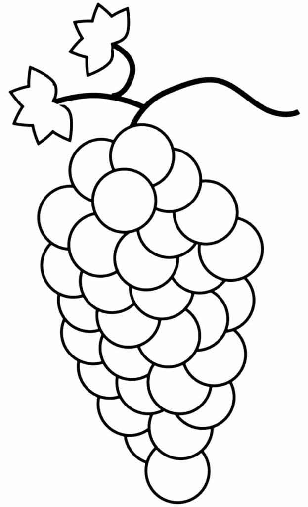 desenho de uva para colorir 9