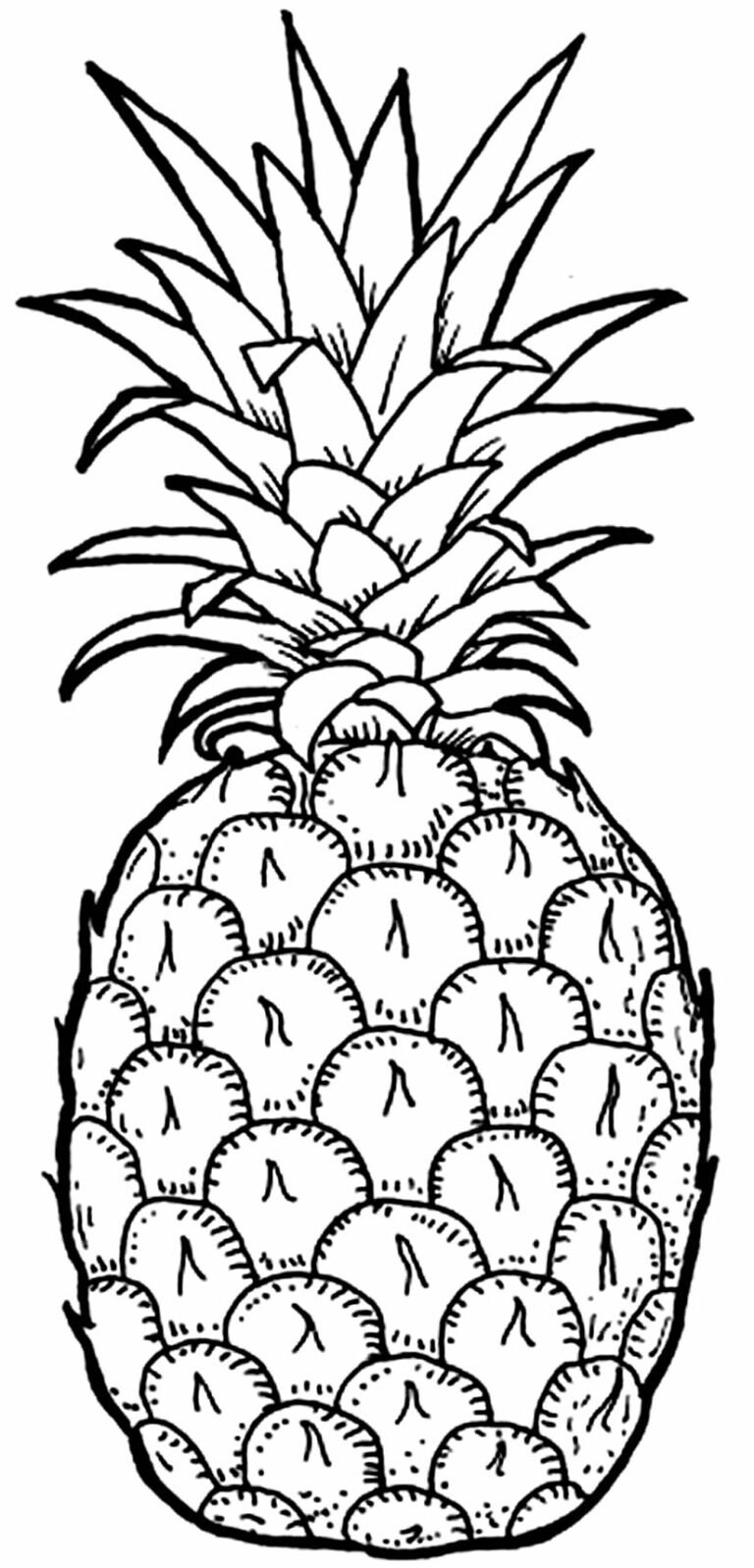 +70 Desenhos de Abacaxi para Colorir e Imprimir
