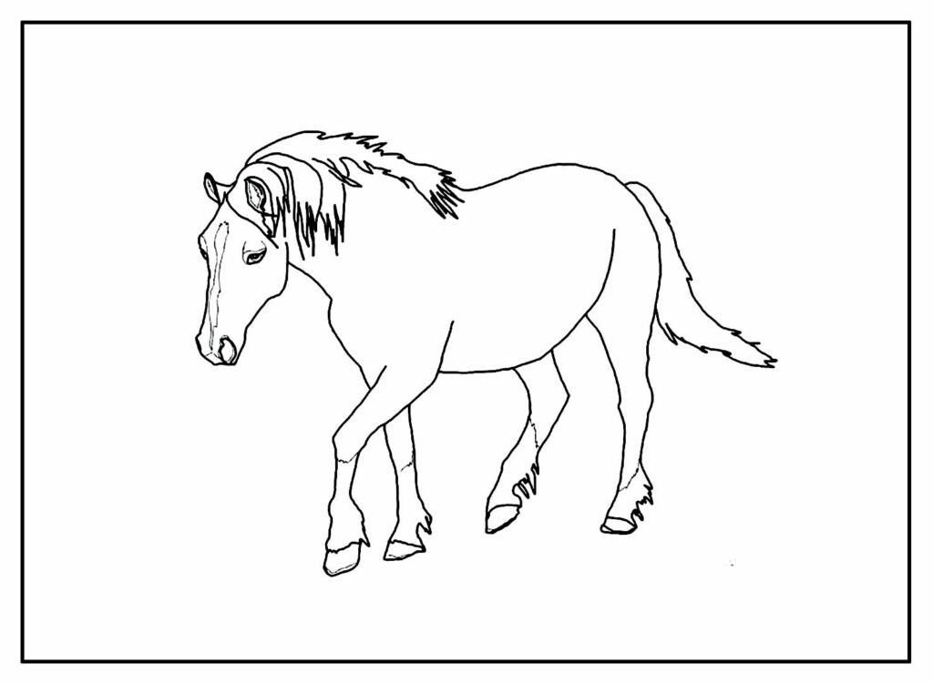 desenhos de cavalo para colorir 13