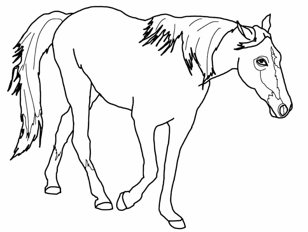 desenhos de cavalo para colorir 15