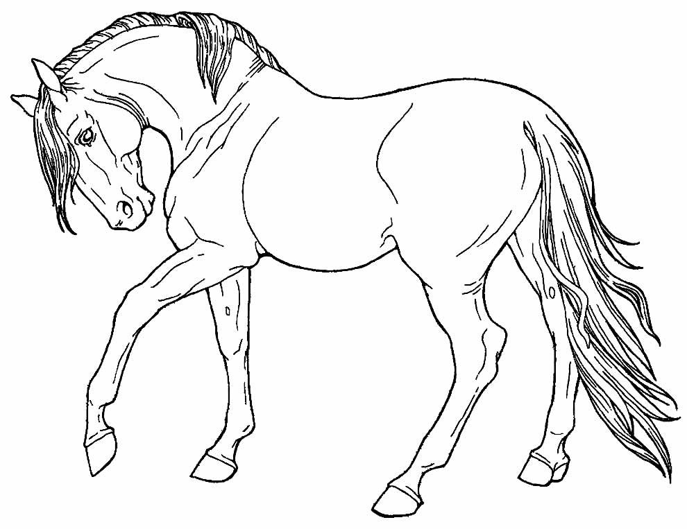 desenhos de cavalo para colorir 16