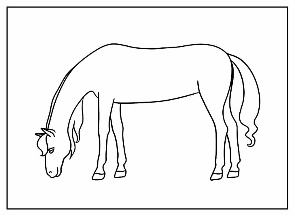 desenhos de cavalo para colorir 3