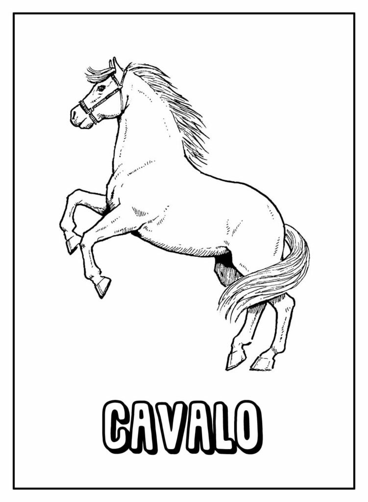 desenhos de cavalo para colorir 30