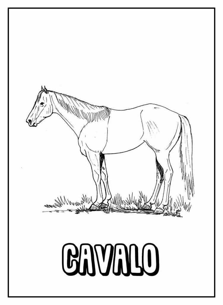 desenhos de cavalo para colorir 32