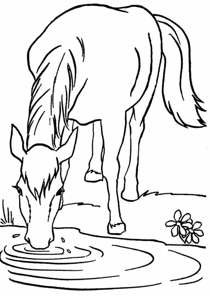 desenhos de cavalo para colorir 36