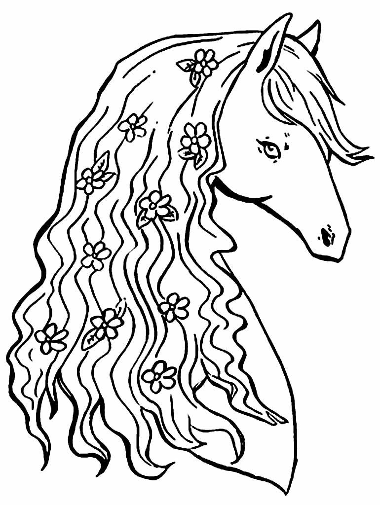 desenhos de cavalo para colorir 38