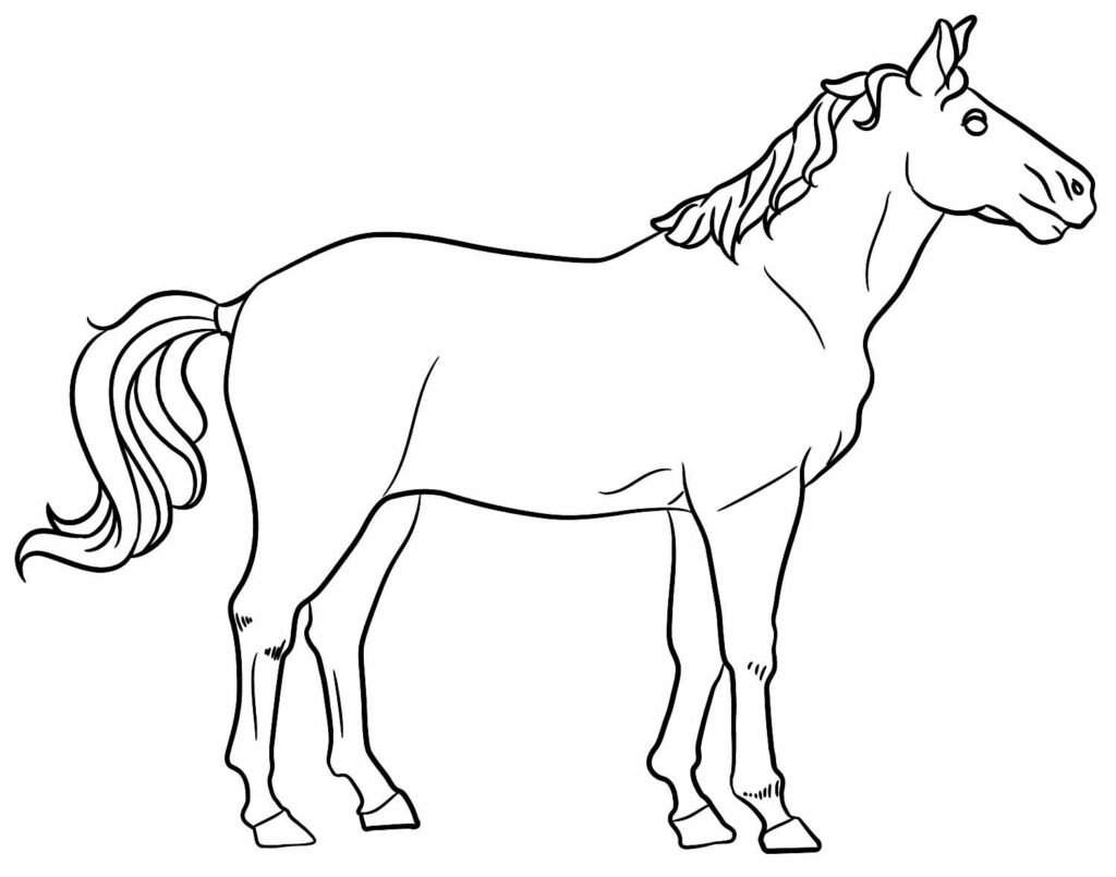 desenhos de cavalo para colorir 40