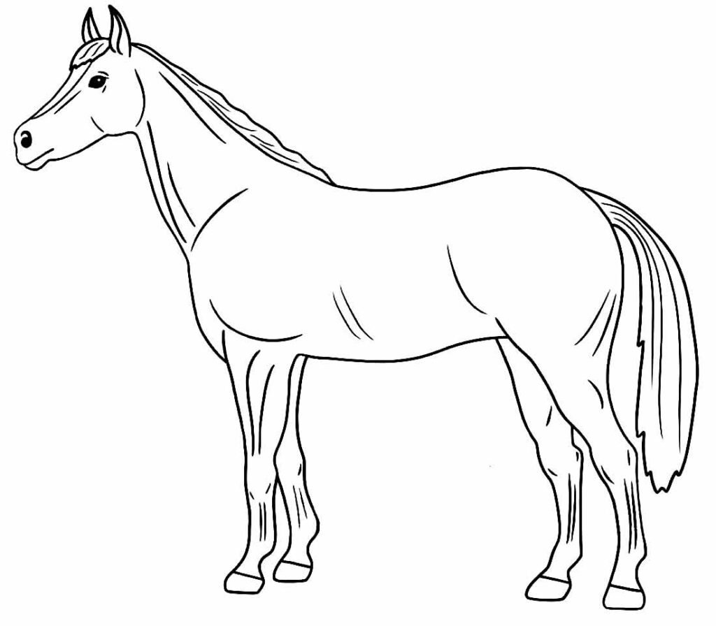 desenhos de cavalo para colorir 45