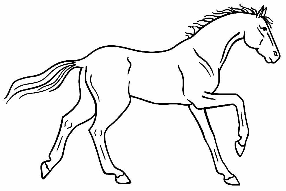 desenhos de cavalo para colorir 48