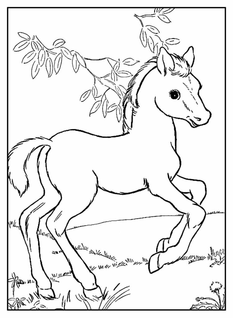 desenhos de cavalo para colorir 5