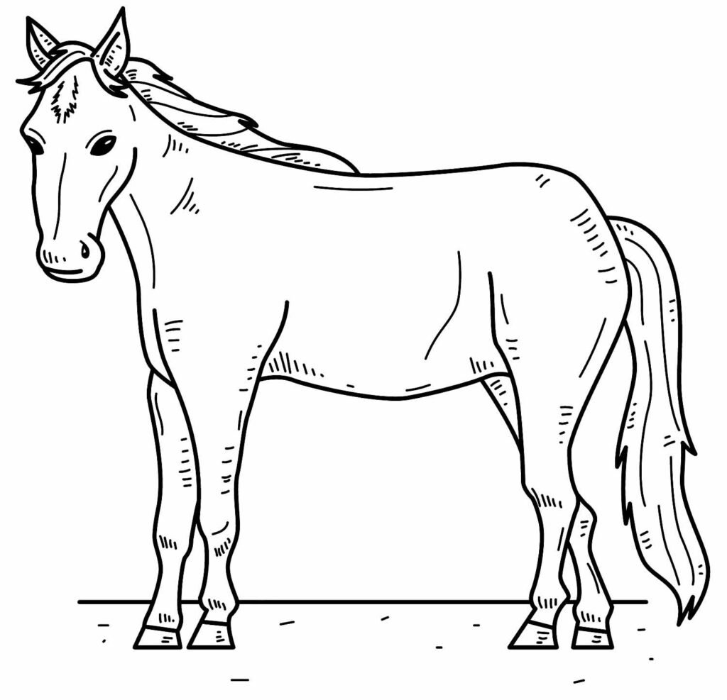 desenhos de cavalo para colorir 51