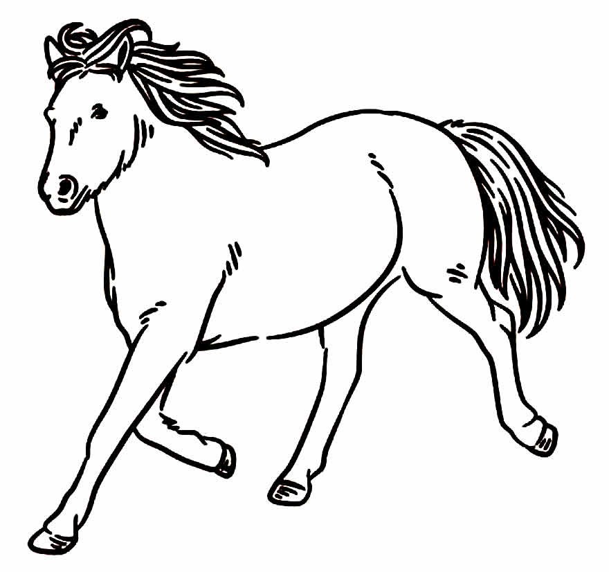 desenhos de cavalo para colorir 54